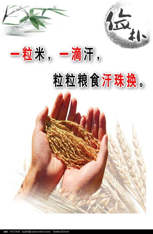 林肯港二手闲置 毕业证成绩单认证